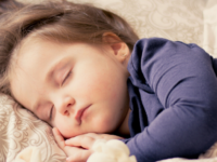Proč se říká spát jako dudek? Jaký je původ úsloví spát jako dudek?